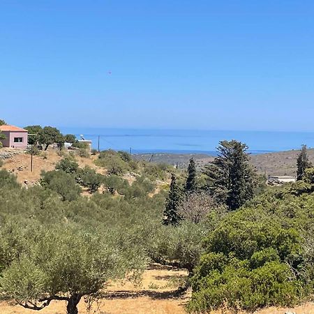Theros House Agios Ilias  ภายนอก รูปภาพ
