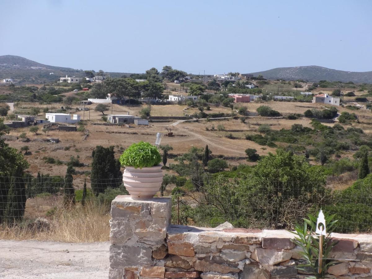 Theros House Agios Ilias  ภายนอก รูปภาพ